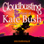 Cloudbusting