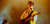 Declan McKenna