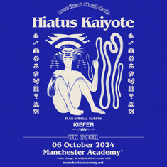 Hiatus Kaiyote