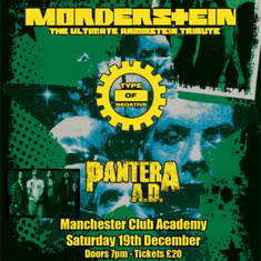 Morderstein & Type Of Negative