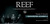 Reef